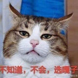 惹惹惹惹