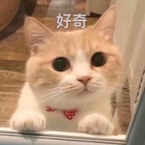 八甘少游苏幕遮