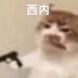 黎明恰如此燃烧
