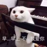 沉默寡言建国酱