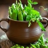 蒹葭苍苍
