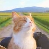 降落练习
