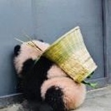 九溪