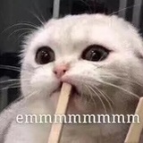豆友兜兜呦