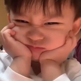 行走的表情包啊