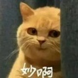 向着明天，跑