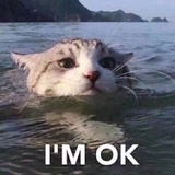 미아아아아아