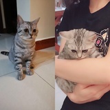 Chris梅子