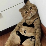 马吵吵