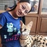 杜喵喵