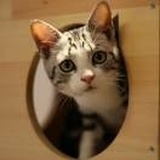 A天使守护人