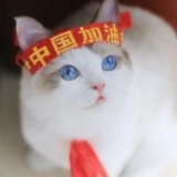 地毯上的加菲猫