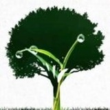 三点君
