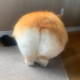 在干嘛