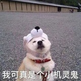 李大狗