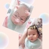 笼子里的猪