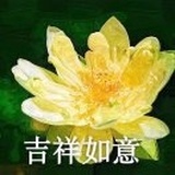 略略略略略略