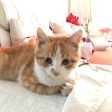 豆友191247072