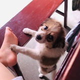 我爱睡懒觉