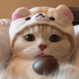 小鹿给我送支花