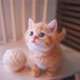 蓝