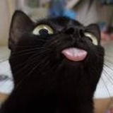 miao11like