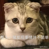 明月何处