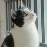 葳蕤匆匆