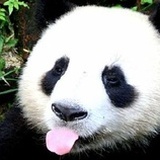 自由冲浪～