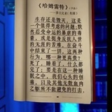 逐梦