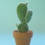 水木