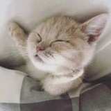 冲向阳光的仙女