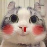 以后再也不熬夜