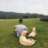 李