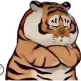 Qqqq