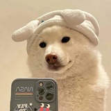 债法原理