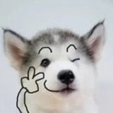 夜航南飞