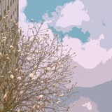 请问你记得我吗