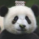 V小V丶MD