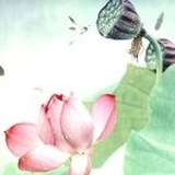 静心