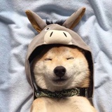 几多味