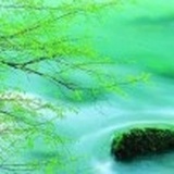从海一声笑