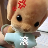 改不了嗑cp