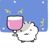 ʕ ᵔᴥᵔ ʔ
