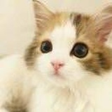 晨钟暮鼓