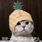 月照窗纱