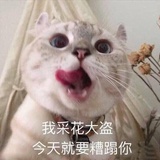 小芒果