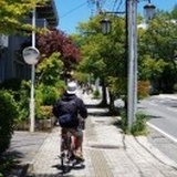 蒋欣
