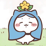 多半没毛病