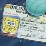 别闹，宝贝儿。